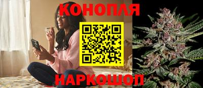 гидра Лесосибирск